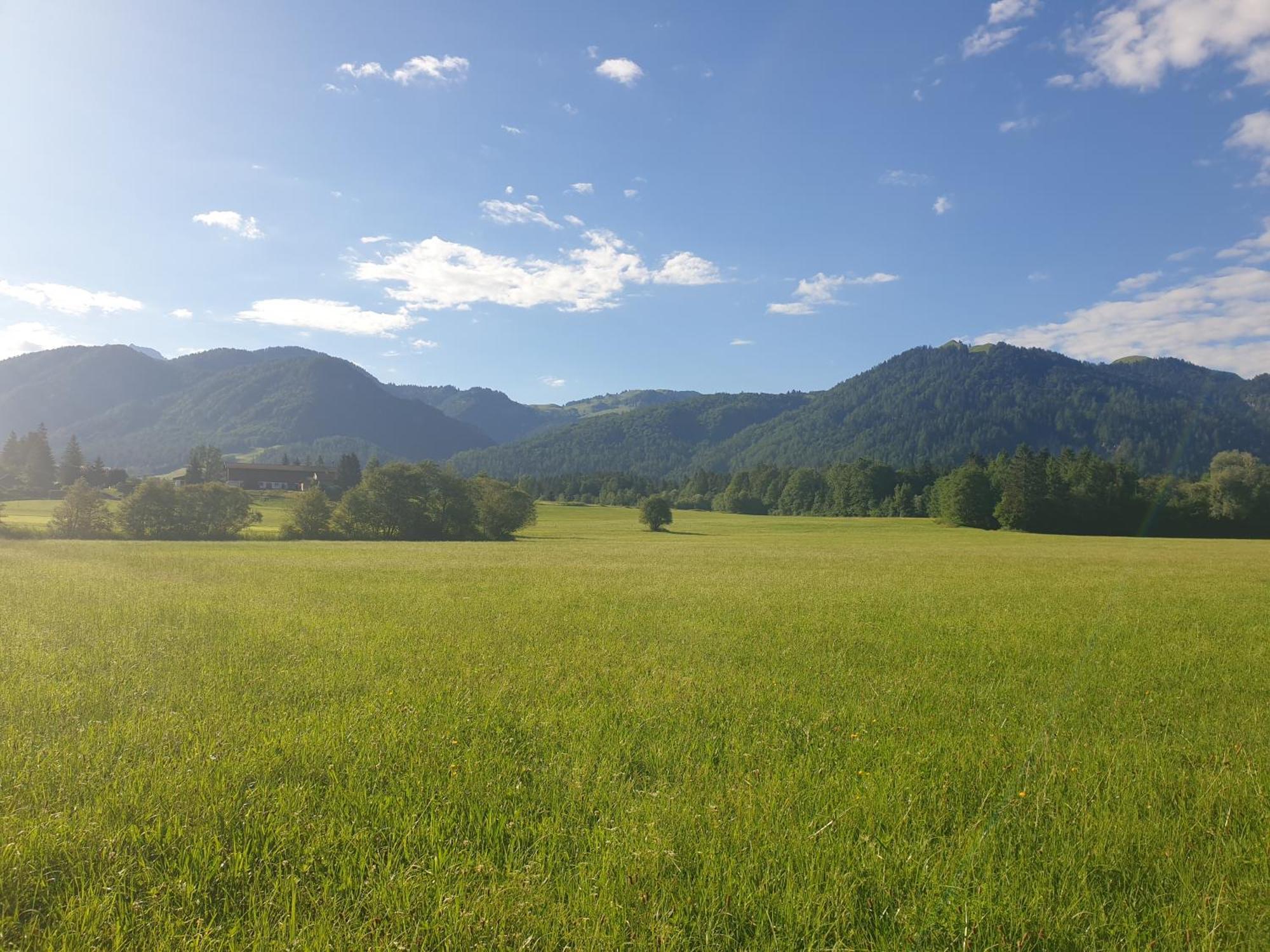 Appartementhaus Huettenberger Erpfendorf Exteriér fotografie