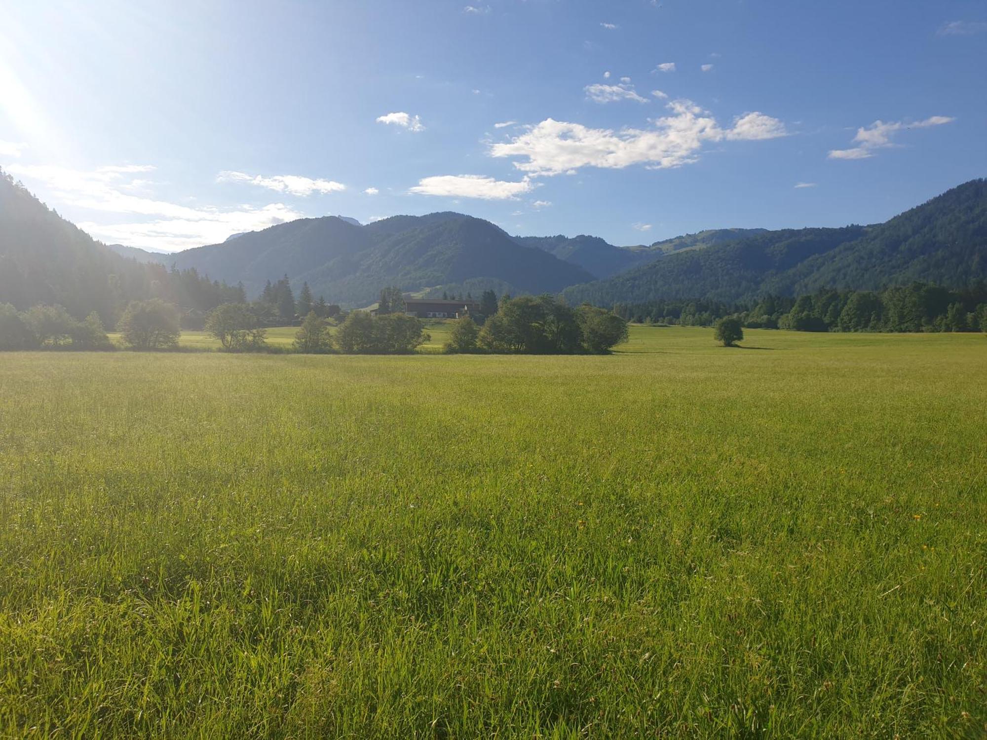 Appartementhaus Huettenberger Erpfendorf Exteriér fotografie